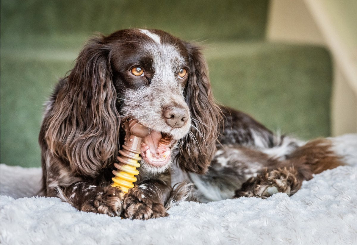 Nylabon