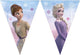 Papierflagge FSC FROZEN 2 WIND SPIRTI, 3MTR.
