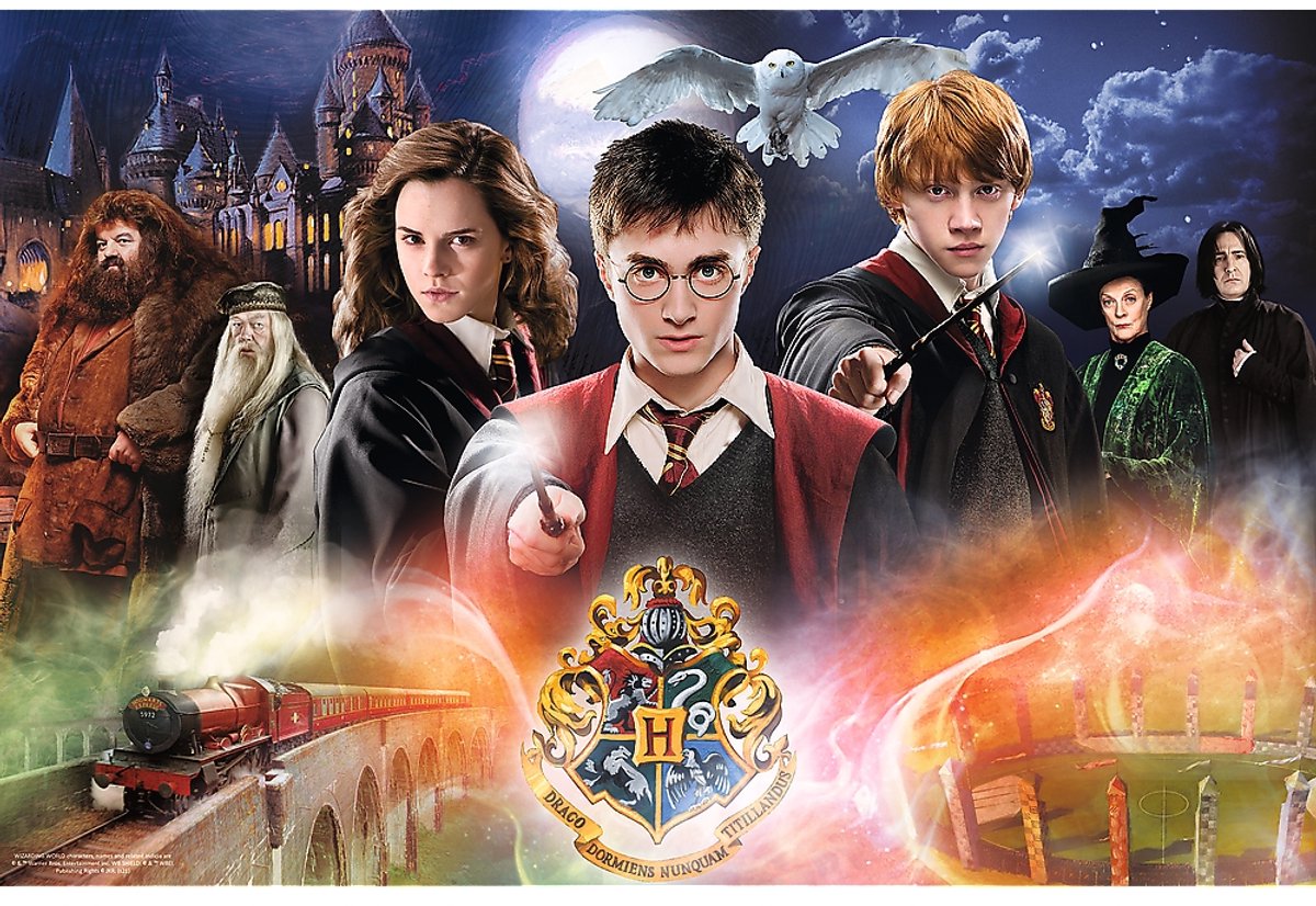 Trefl Harry Potter Puzzle – 300 Teile – Puzzle-Film.
