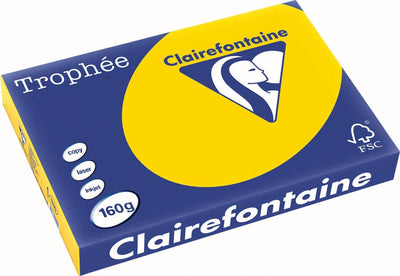 Clairefontaine Trophäe Pastell | farbiges Papier | a3 | 160g | 250 Blatt | goldgelb