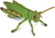 Collecta Figur - Heuschrecke - (m) - Insekten - handbemalt - Miniatur