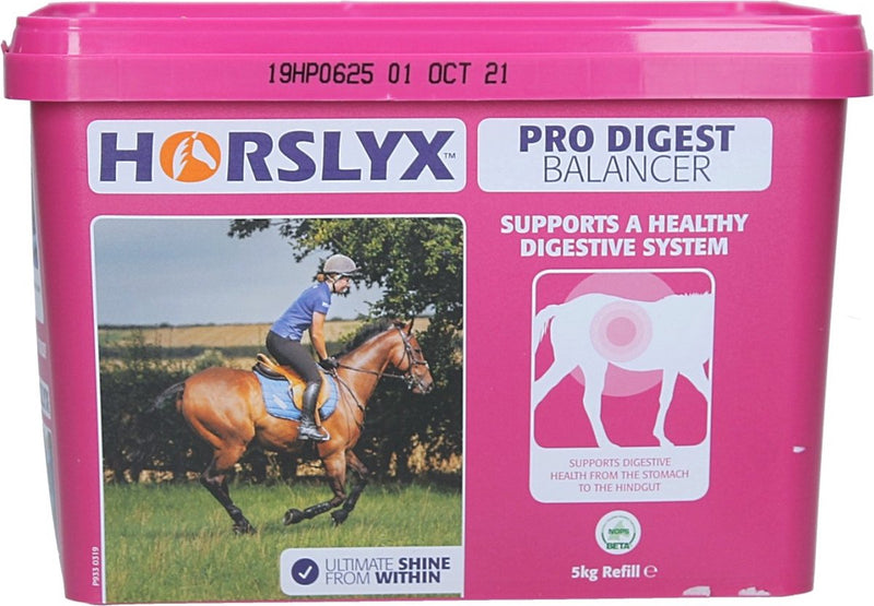 Horslyx Mini Pro Digest – 650 Gramm – lecken – zur Unterstützung der Aufrechterhaltung eines normalen Säuregehalts im Magen – für Pferde geeignet – Apfelgeschmack