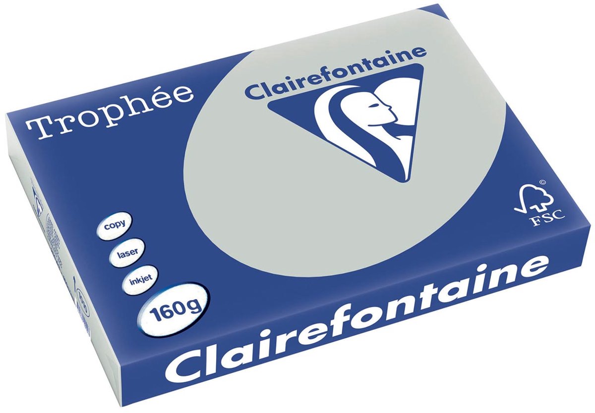 Clairefontaine Trophäe Pastell | farbiges Papier | a3 | 160g | 250 Blatt | hellgrau