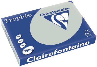 Clairefontaine Trophäe Pastell | farbiges Papier | a3 | 160g | 250 Blatt | hellgrau