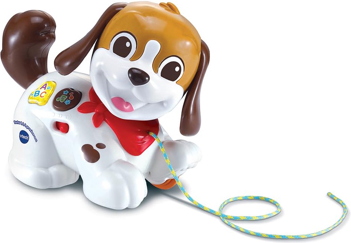 Vtech Premier Age Toutou, 1,2,3 Promene-Moi, 12 Jahre, Batterien erforderlich, AAA, Kunststoff, mehrfarbig