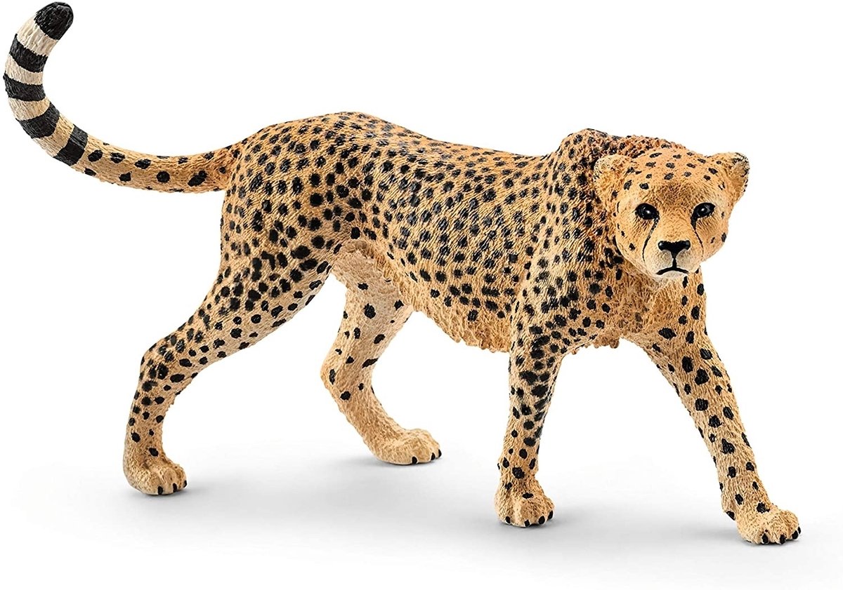 Schlich Wild Life Cheetah Vrouwtje 14746