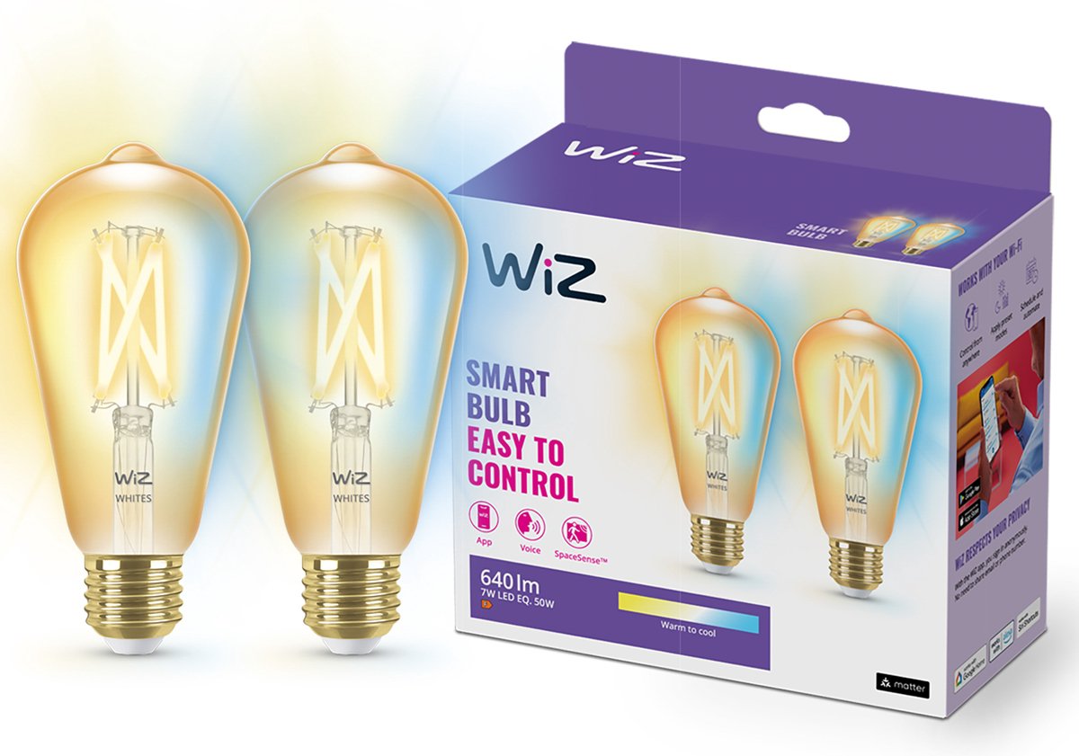 Wiz Filament Bernstein ST64 E27 X2