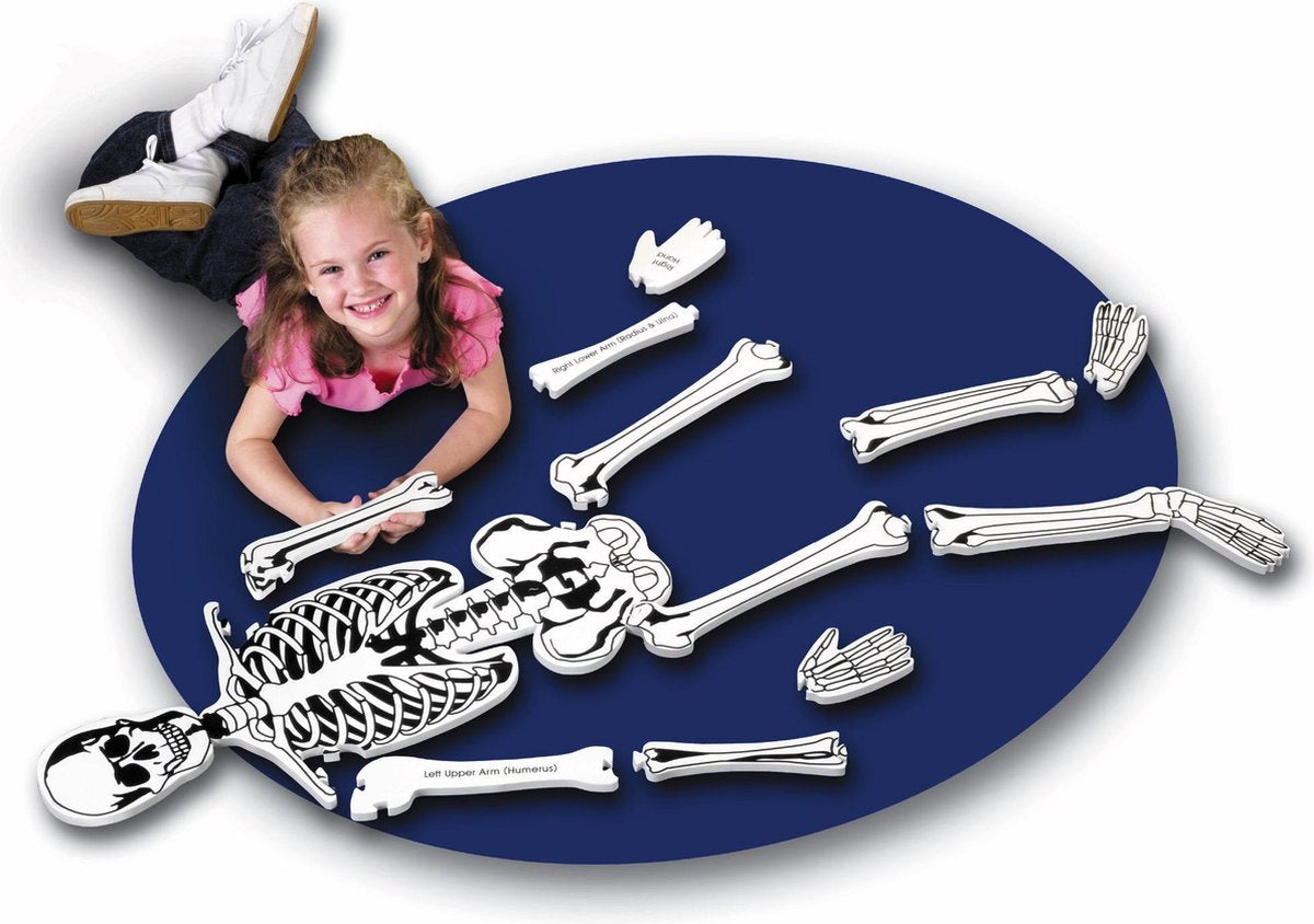 Lernressourcen Bodenpuzzle Skelett (Größe: 1,22 m) – 3+