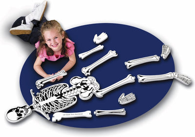 Lernressourcen Bodenpuzzle Skelett (Größe: 1,22 m) – 3+