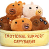 Spectron Emotional Support Capybaras Kuscheltiere – 6 Stk.