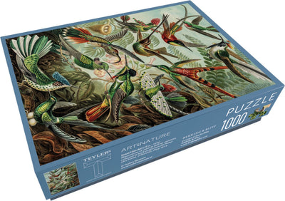 Bekking Blitz - Puzzle - 1.000 Teile - Kunst - Kunstformen der Natur - Ernst Haeckel - Teylers Museum