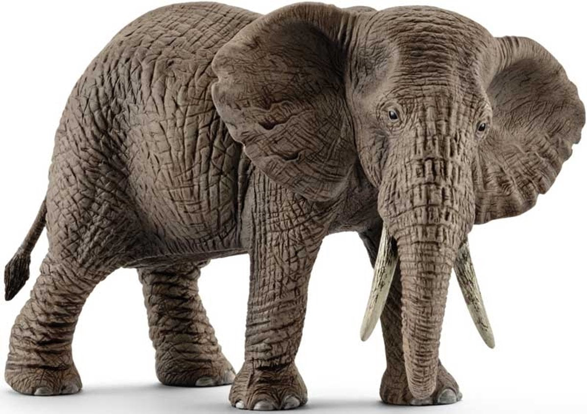 Schlich Wild Life African Elephant Frau 14761
