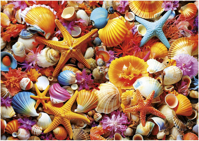 Educa - Puzzle - Collage de Conchas 1000 Teile