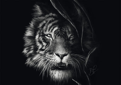 Schmidt Puzzle Wildnis Tiger 1000 Teile Puzzle Erwachsene.