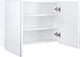 Differnz Brida Spiegelschrank – 50 x 67,5 x 15 – weiß