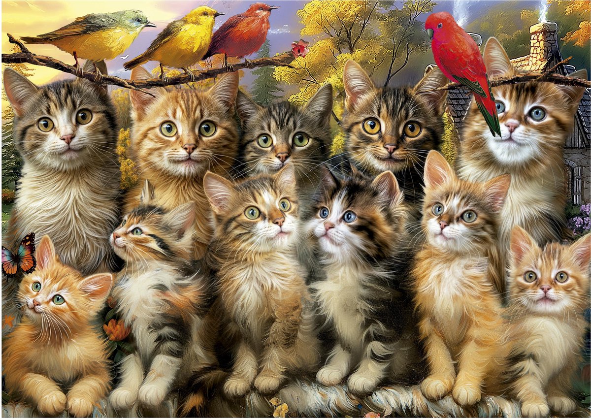 Educa Puzzle Katzen und Vögel 500 Teile Tierpuzzle.