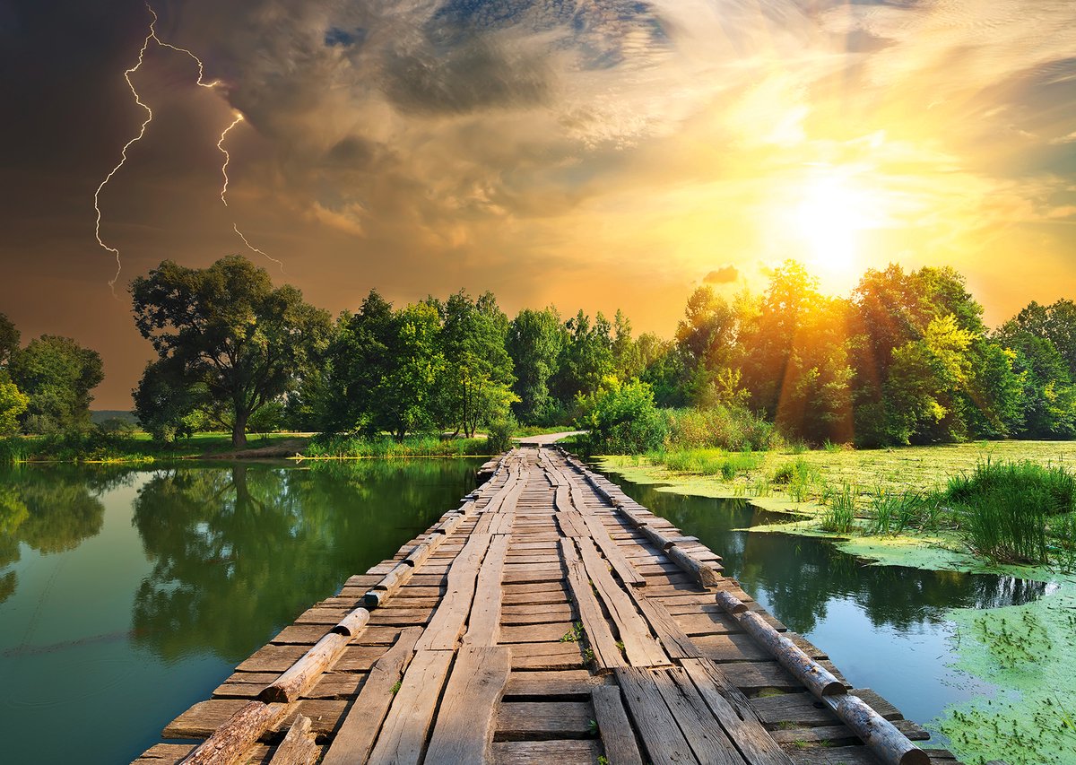 Ravensburger Puzzle Natur Edition Nr. 3 Mystisches Licht - 1000 Teile Natur.