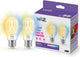 Zizfilament transparent A60 E27 x2