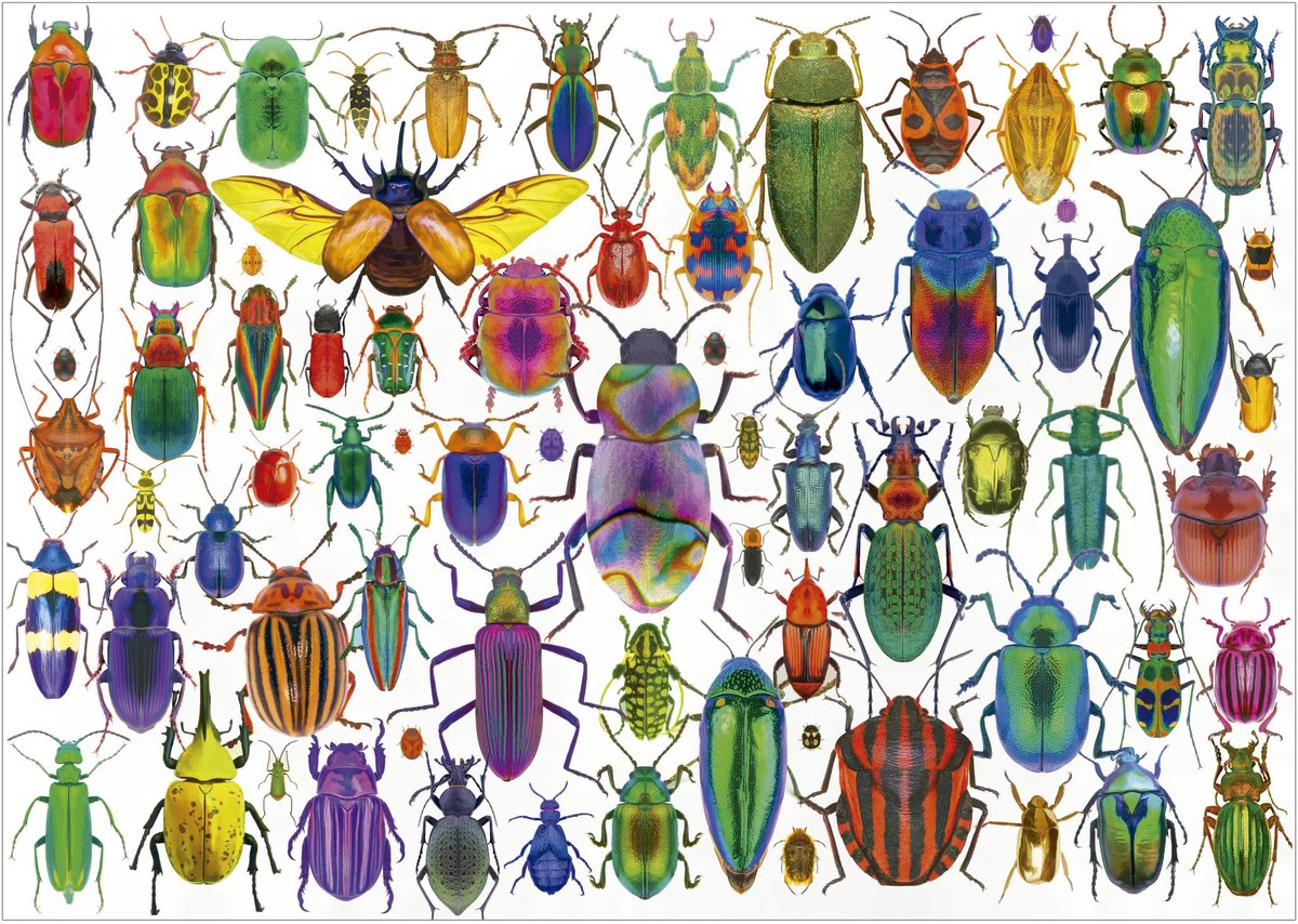 Educa Puzzle Käfer – 500 Teile Tierpuzzle für Erwachsene.