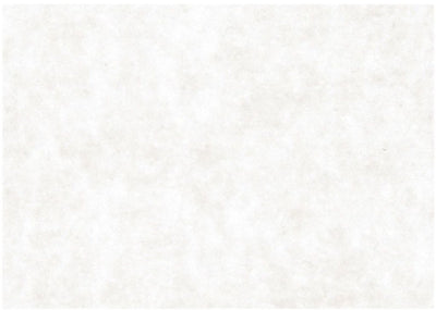 Creativ Company Kraftpapier, A2, Blatt 420x594 mm, 100 gr, weiß, 500 Blatt 1 Karton