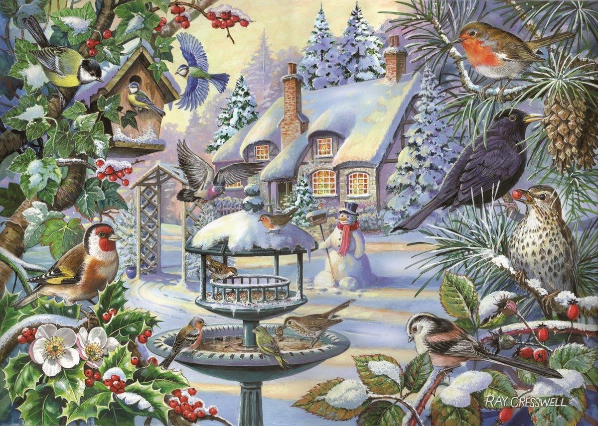 House of Puzzles Puzzle Wintervögel 500 xl Tierteile.