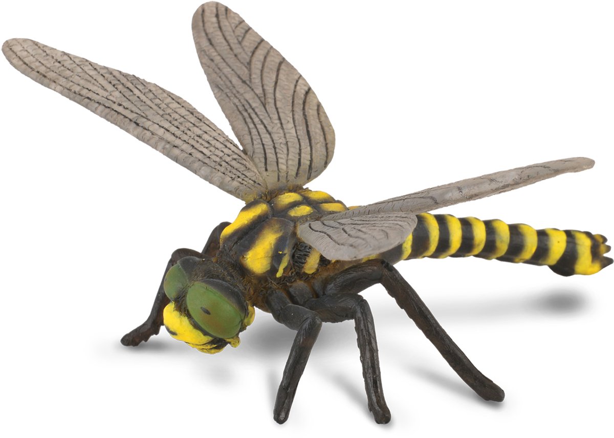 Collecta Figur - Libelle - (l) - Insekten - handbemalt - Miniatur