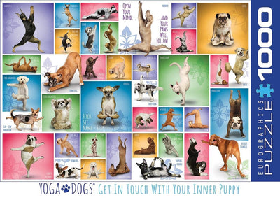 Eurographics – Yoga-Hunde [Yoga-Hunde] – 1000 Teile 68×48 cm (B×H) – Puzzle