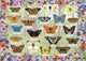 Gibsons – wunderschöne Schmetterlinge (von Fiona Osbaldstone) – 1000 Teile 68×49 cm (B×H) – Puzzle für Erwachsene