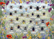 Gibsons – Brilliante Bienen (von Fiona Osbaldstone) – 1000 Teile 68×49cm (B×H) – Puzzle für Erwachsene