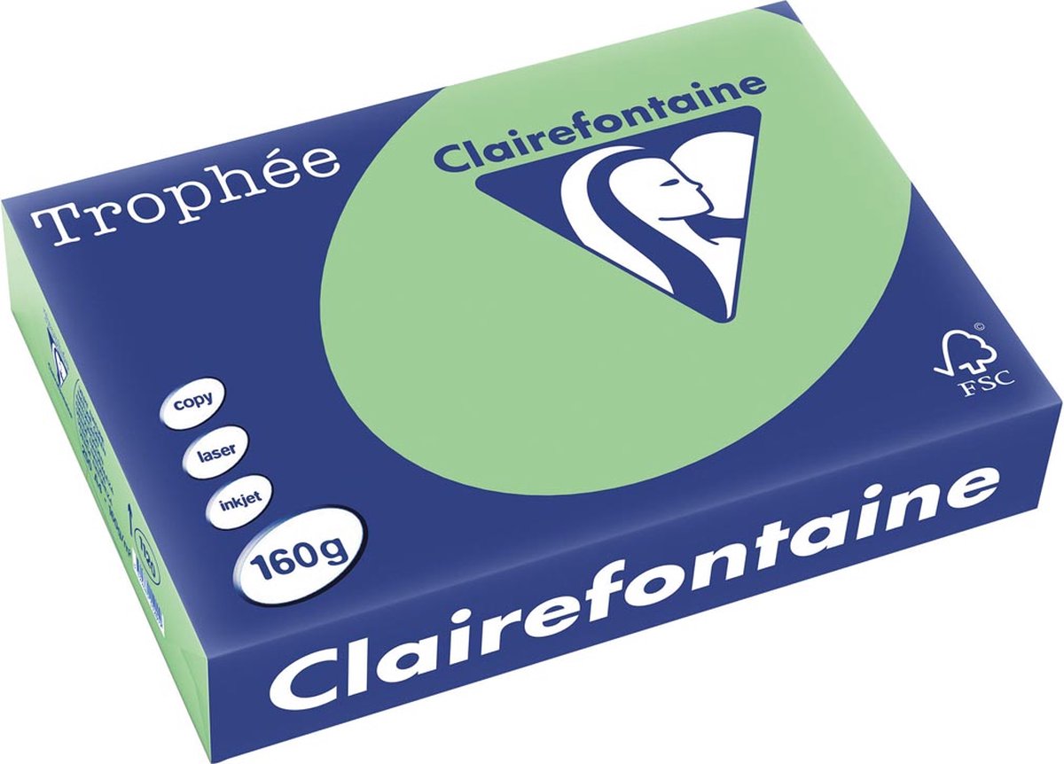 Clairefontaine Trophäe Pastell, farbiges Papier, A4, 160 g, 250 Blatt, Naturgrün
