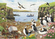 House of Puzzles Papageientaucher Parade Puzzle 500 Teile XL