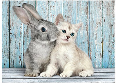 Clementoni – Puzzle – 500 Teile – Katze und Hase – Puzzle für Kinder und Erwachsene – hochwertige Kollektion