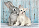 Clementoni – Puzzle – 500 Teile – Katze und Hase – Puzzle für Kinder und Erwachsene – hochwertige Kollektion