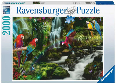 Bonte Papageien im Dschungel -Puzzle, 2000st.