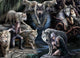 Bluebird Puzzle Anne Stokes Wolf Collage 1500 Teile Tiere.