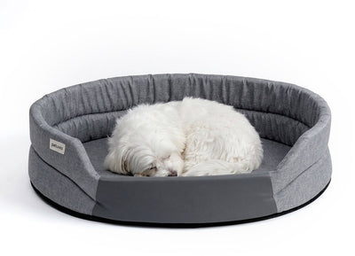 Peluvio Arita – Hundebett wasserabweisend – Hundebett schmutzabweisend – Größe S – rutschfeste Unterseite – leicht, reisefreundlich – niedriger Einstieg ohne Kanten – langlebiger Schaumstoff – geruchsarm, leicht zu reinigen – Komfort für jeden Hund