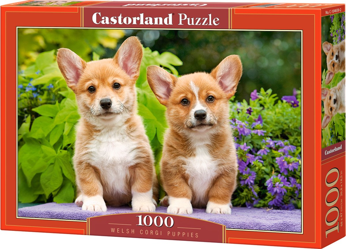 Castorland Welsh Corgi Welpen – Puzzle – 1.000 Teile – Satin-Finish – perfekte Passform – europäische Qualität