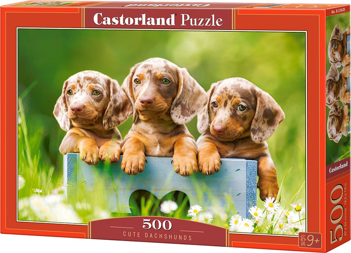 Castorland süße Dackel – Puzzle – 500 Teile – Satin-Finish – perfekte Passform – europäische Qualität