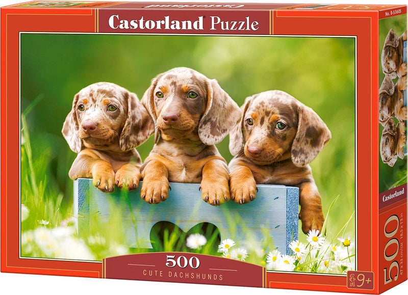 Castorland süße Dackel – Puzzle – 500 Teile – Satin-Finish – perfekte Passform – europäische Qualität