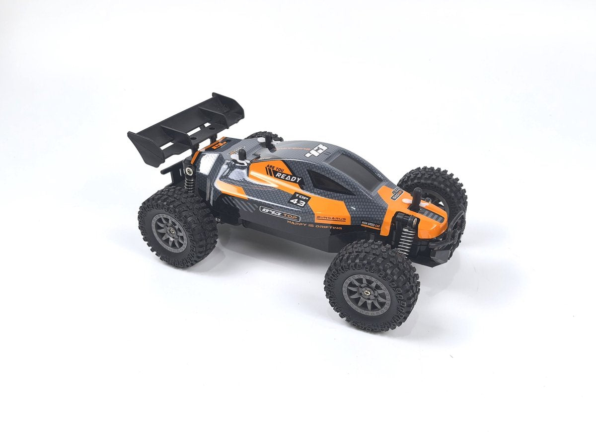 Df-Models Rookie Fighter Buggy – fahrbereit