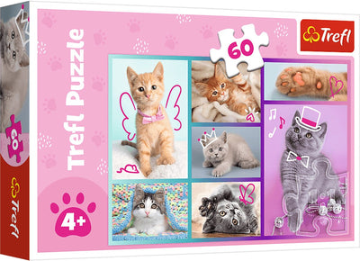 Trefl-Puzzle – süße Katzen – 60 Teile – bunter Karton.