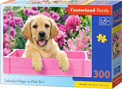 Castorland Labrador-Welpe in rosa Box – Puzzle – 300 Teile – Welpe – Premium-Qualität