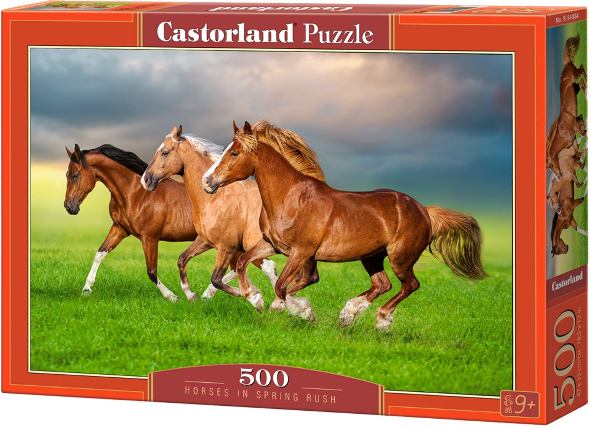 Castorland-Pferde im Frühlingsrausch – Puzzle – 500 Teile – Satin-Finish – perfekte Passform – europäische Qualität