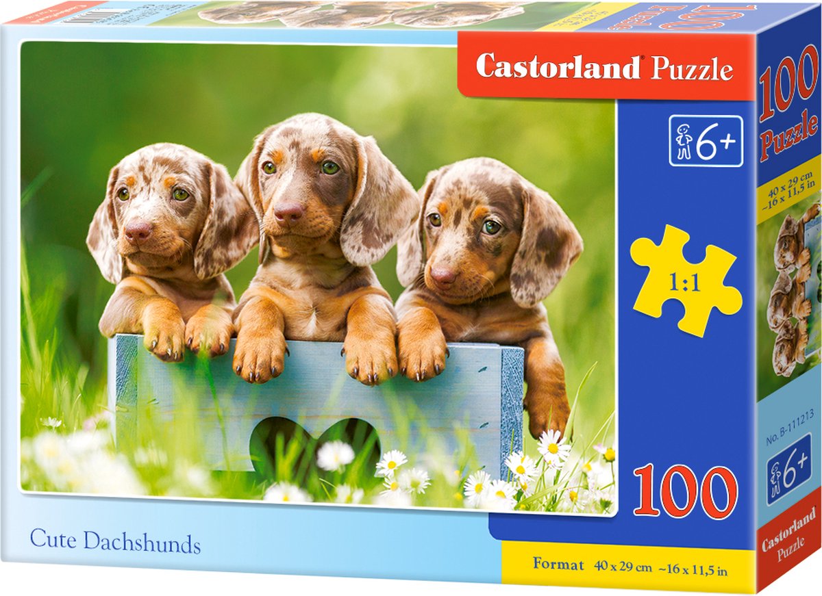 Castorland süße Dackel – Puzzle – 100 Teile – Hunde – Premium-Qualität
