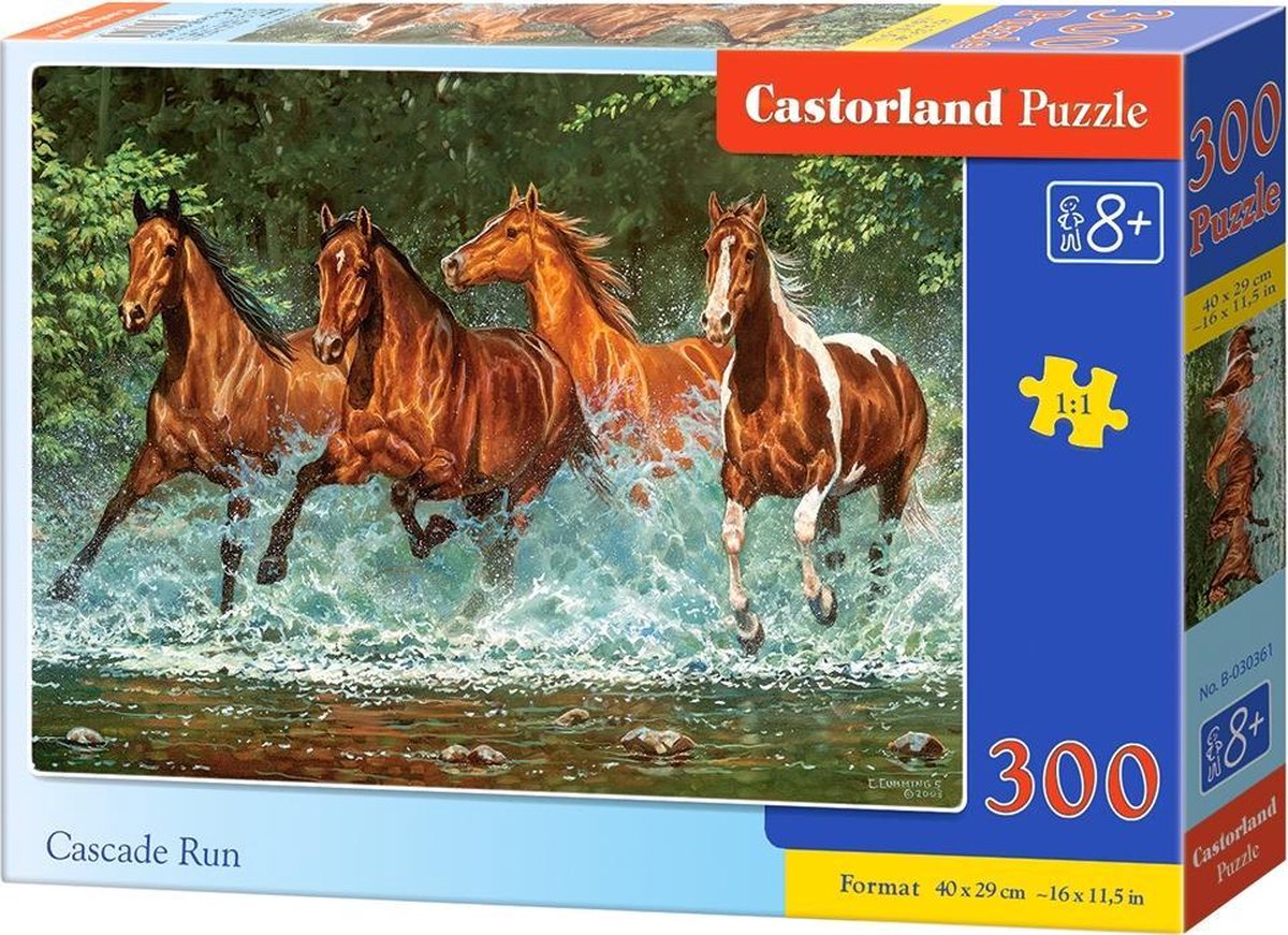 Castorland-Kaskadenlauf – Puzzle – 300 Teile – Wasserfall – Premium-Qualität