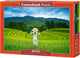Castorland-Reisfelder in Vietnam – Puzzle – 1000 Teile – Satin-Finish – perfekte Passform – europäische Qualität