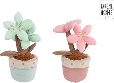 Nimm mich mit nach Hause Pflanzenplüsch mit 2 Blumen L - 24cm