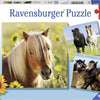 Ravensburger - Schattige Pony's 3x49st.