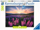 Ravensburger Puzzle Lupinen - Puzzle - 500 Teile