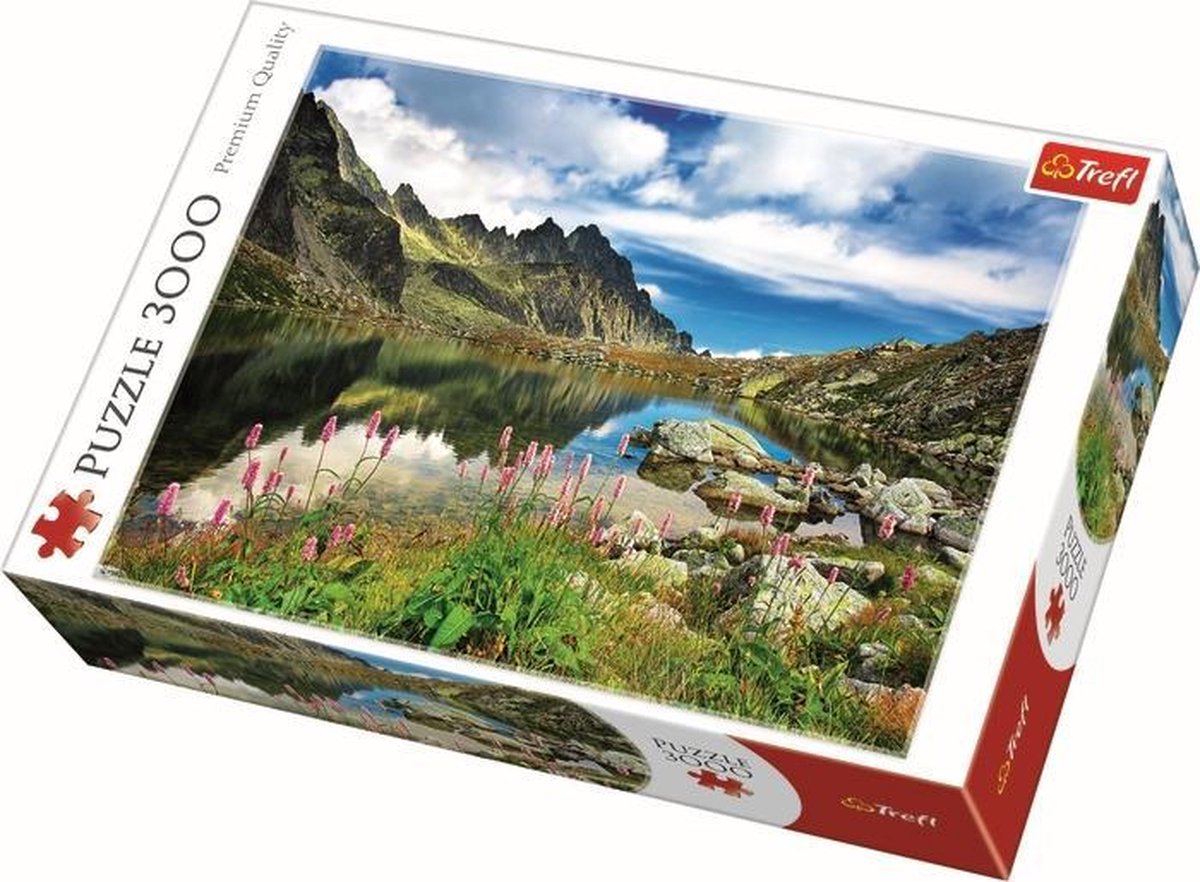 Trefl 3000 - Starolesnianski-Teich, Tatra, Slowakei